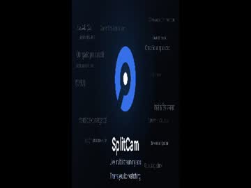 vincenoir_