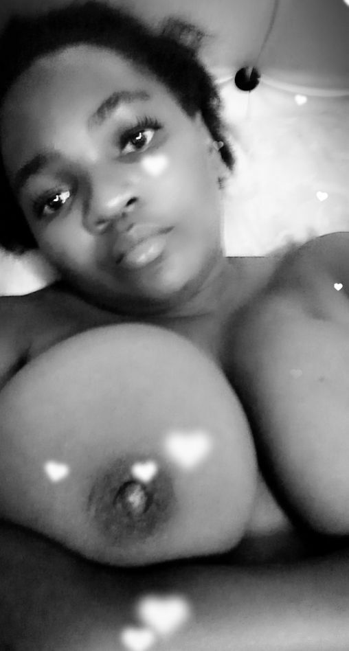 african dykes — 23