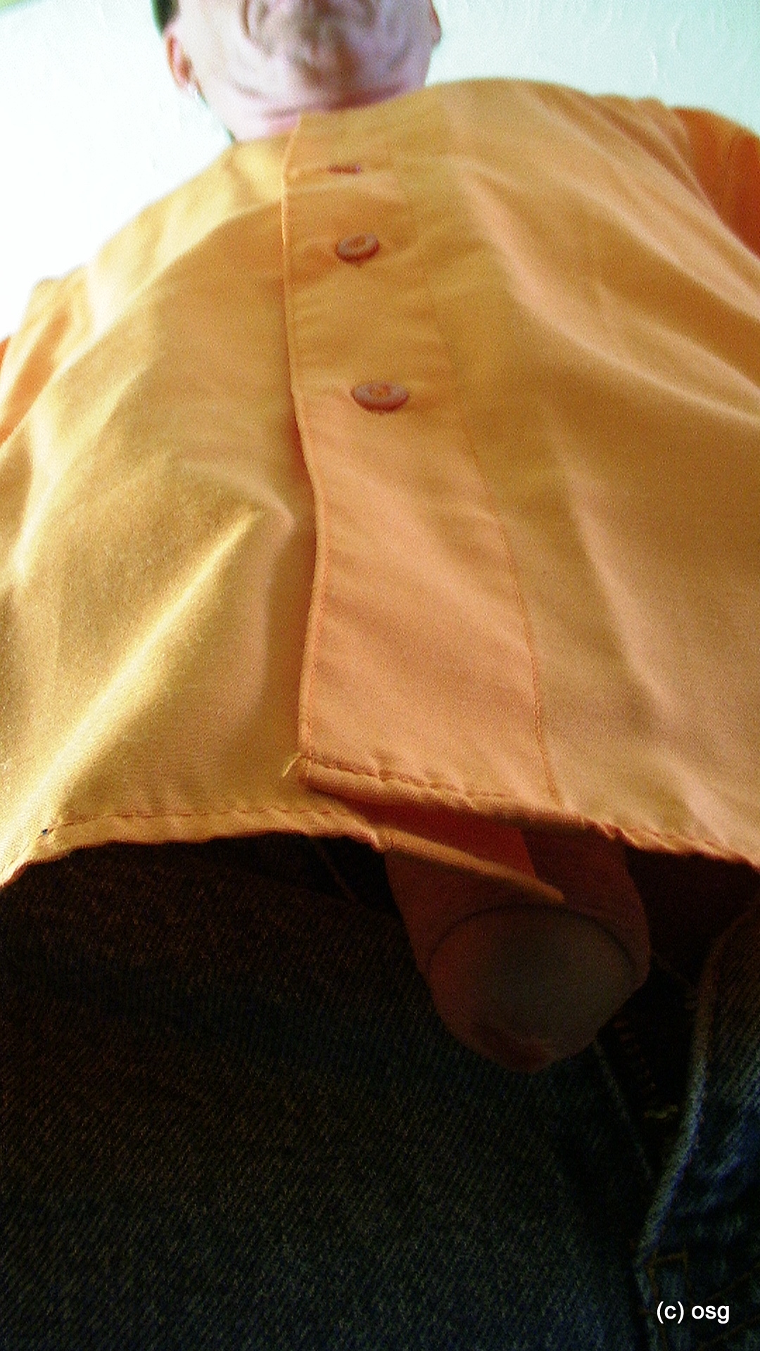 do you like my shirt — 29