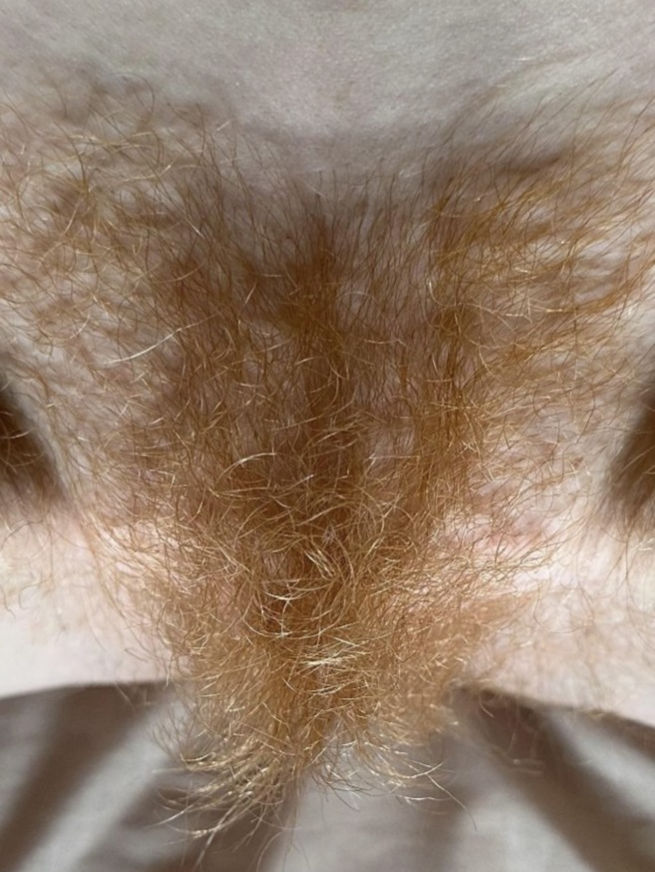 My Favorite Hairy Pussies #13 — 52