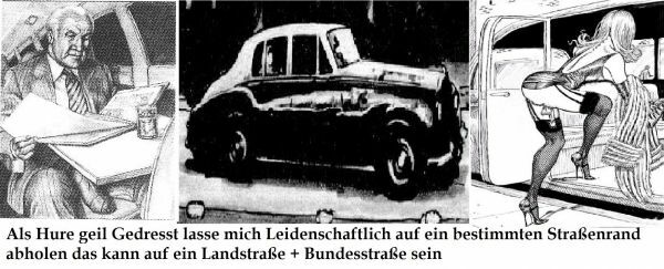 Crossdresser ,Sissy , Tranny , cartoons mit Infos — 13