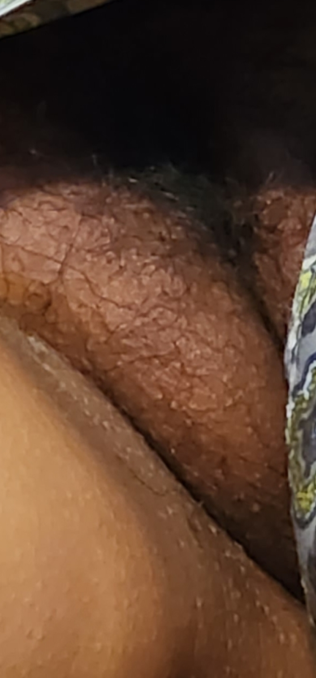 French kiss my fart box — 13